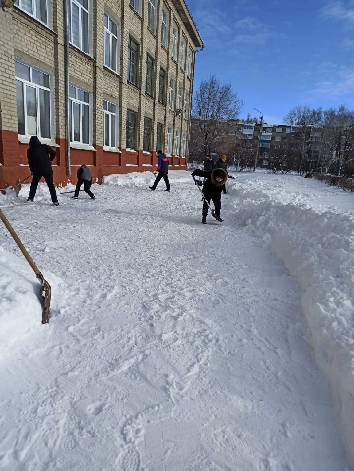 Снежка школа